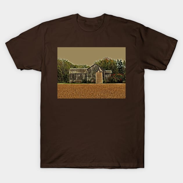 Golden Field Beautiful Barn No.1 T-Shirt by MaryLinH